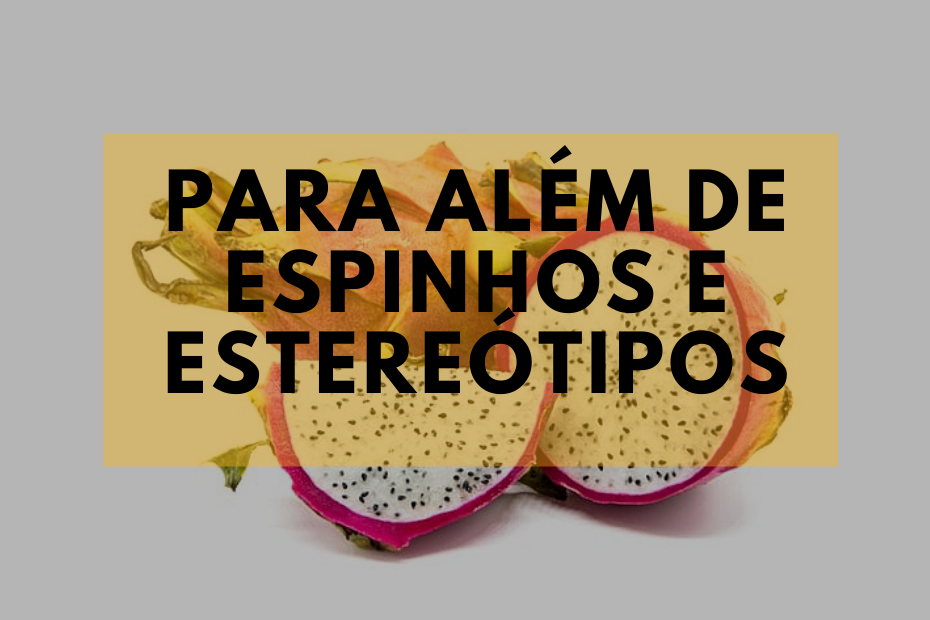 Para além de espinhos e estereótipos: cactos são alimentos nutritivos e saborosos