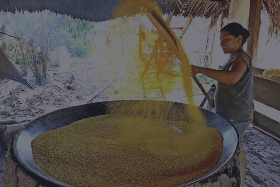 Farinha de mandioca da Amazônia: produção artesanal e floresta em pé