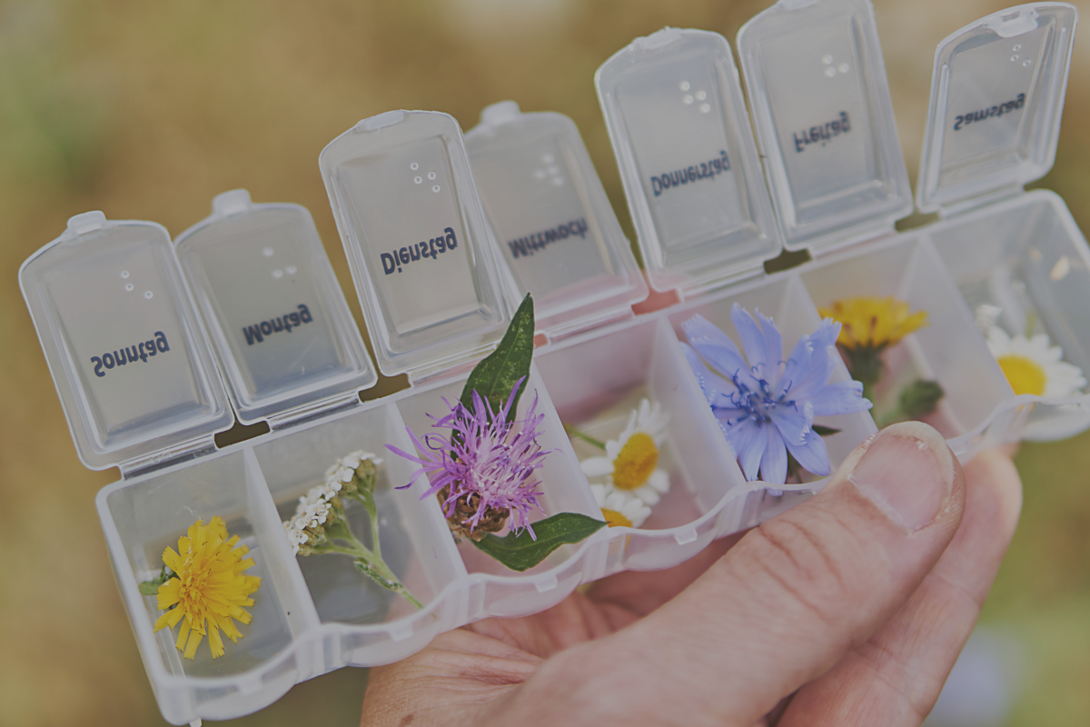 Medicamentos Fitoterápicos: Confiáveis ou Não?