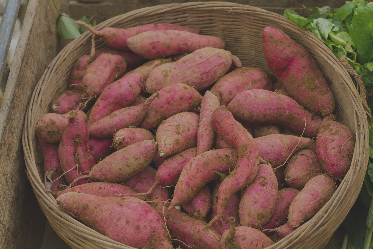 Batata Doce: Um Carboidrato Nutritivo