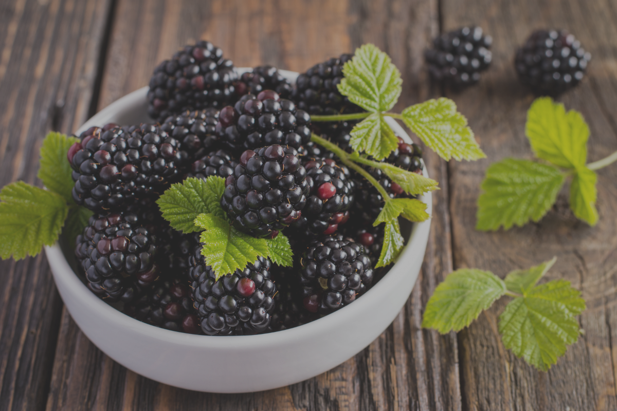 Amora: Vitaminas e Propriedades Anti-inflamatórias